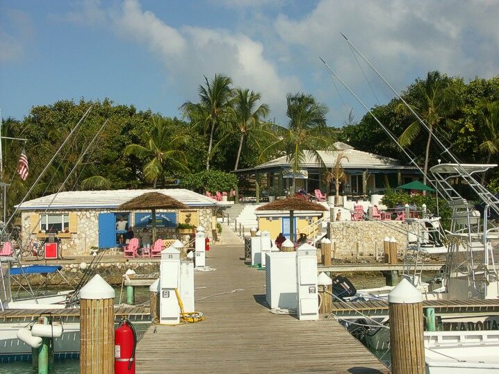 Click to See Next Image